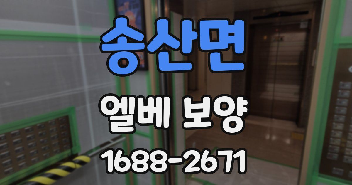 송산면 엘베 보양