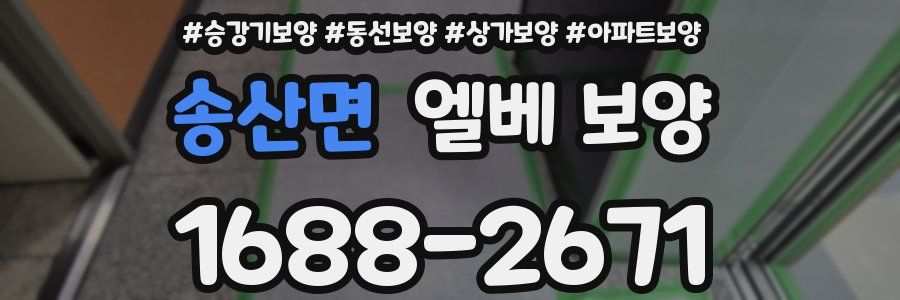 송산면 엘베 보양