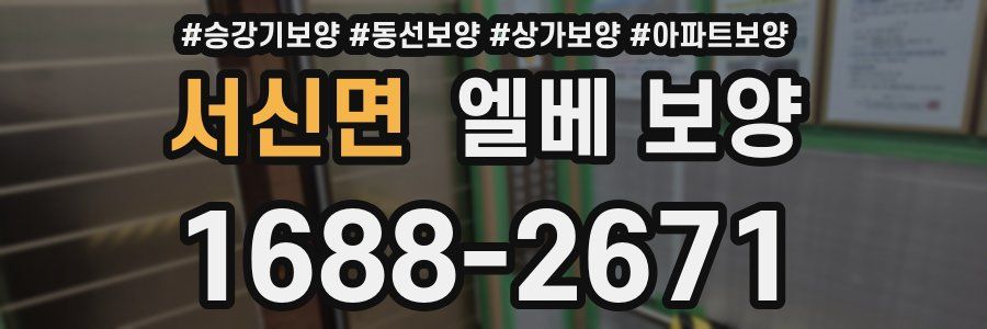 서신면 엘베 보양