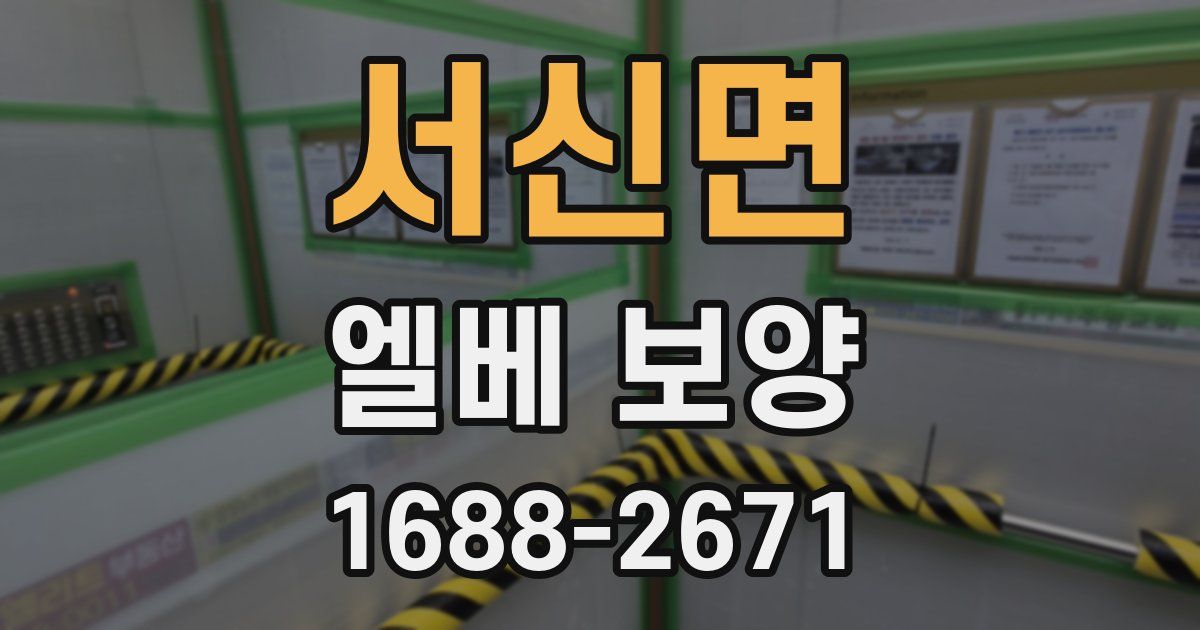 서신면 엘베 보양