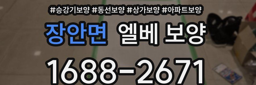 장안면 엘베 보양