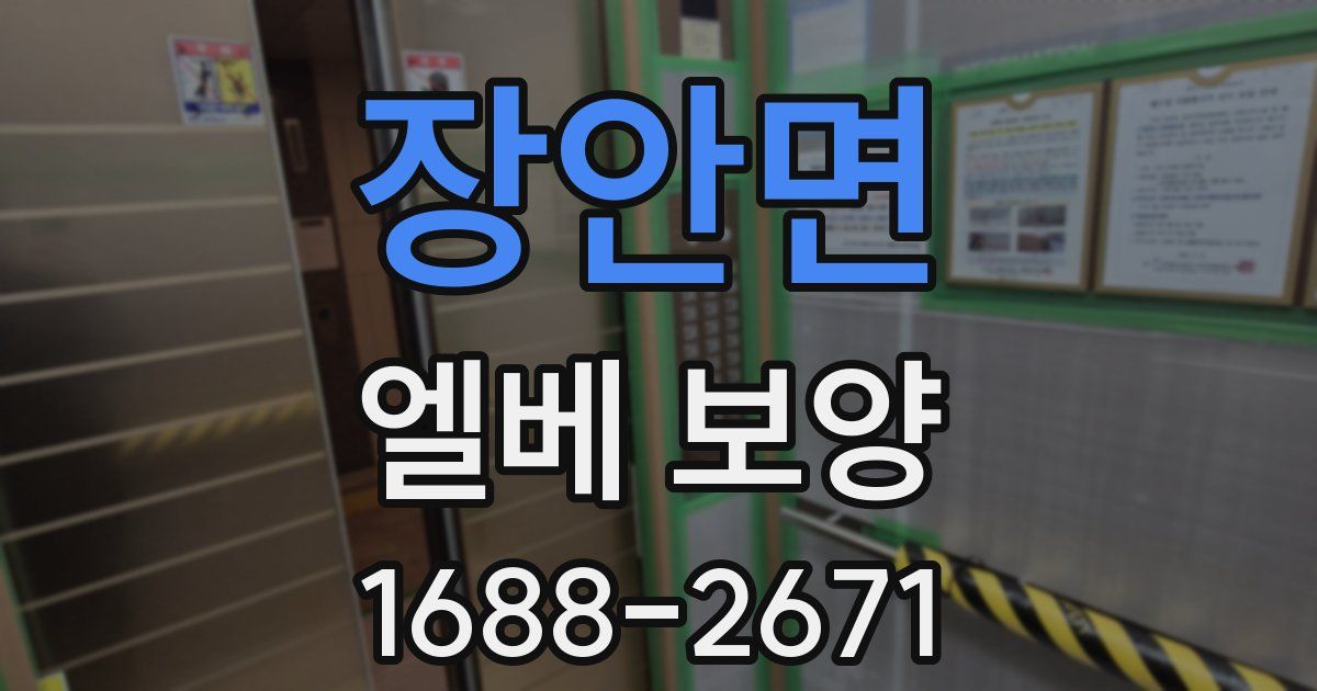 장안면 엘베 보양