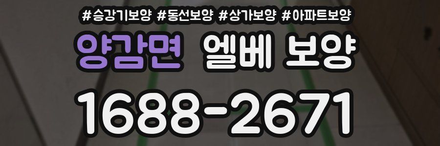 양감면 엘베 보양