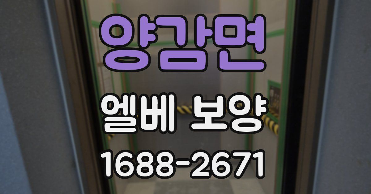 양감면 엘베 보양