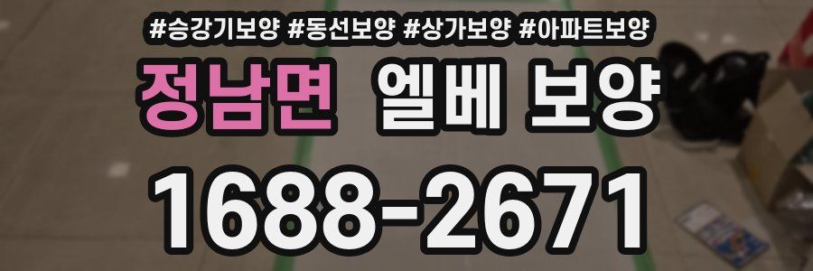 정남면 엘베 보양