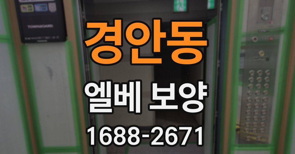 경안동 엘베 보양