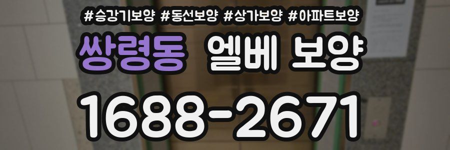 쌍령동 엘베 보양