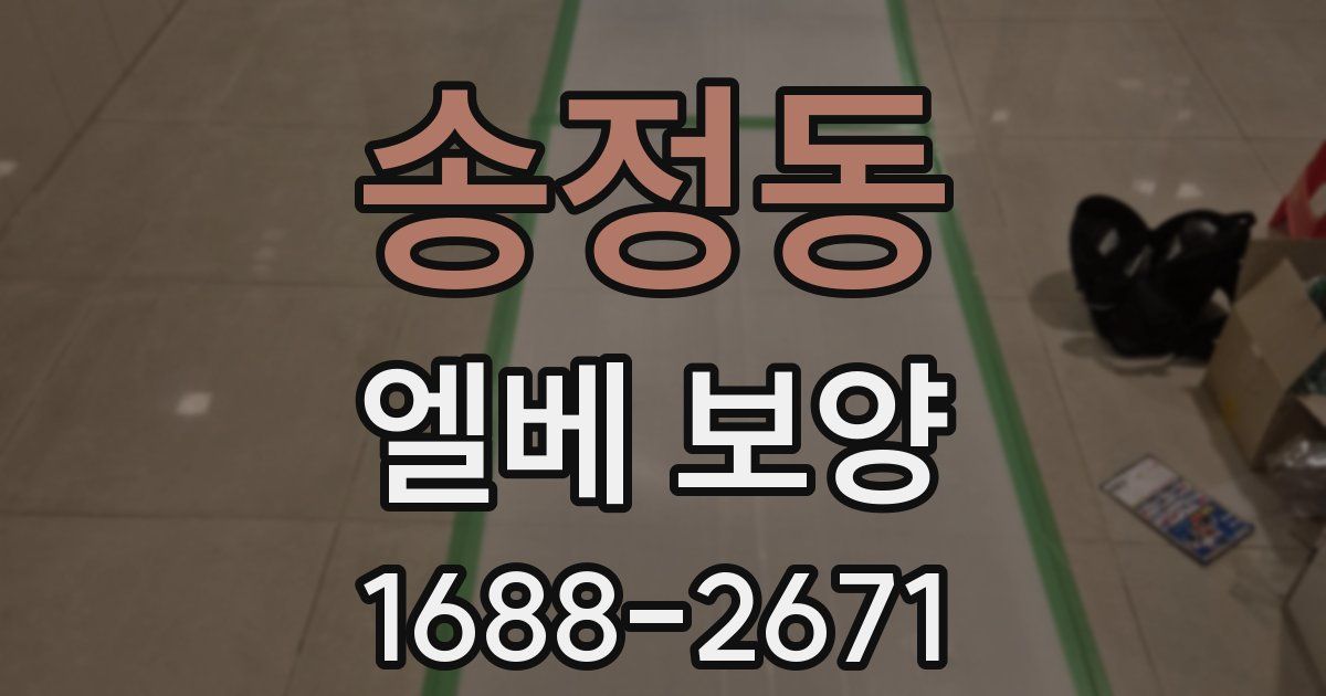 송정동 엘베 보양