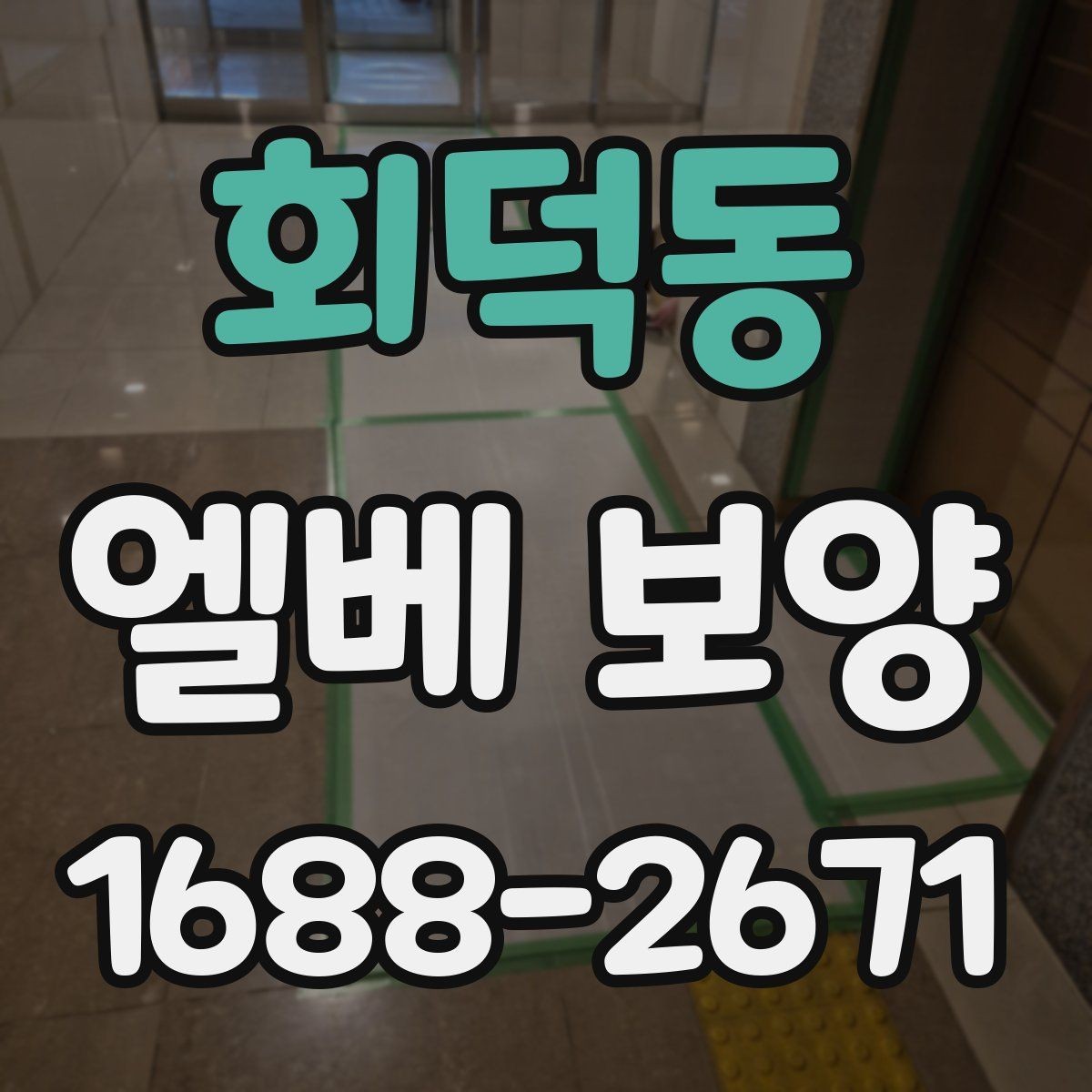 회덕동 엘베 보양 현장마다 달라지는 자재 배치와 순서