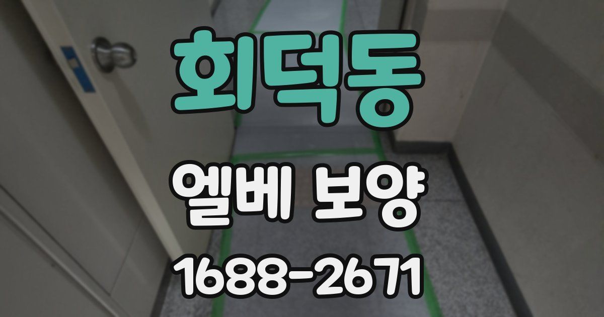 회덕동 엘베 보양