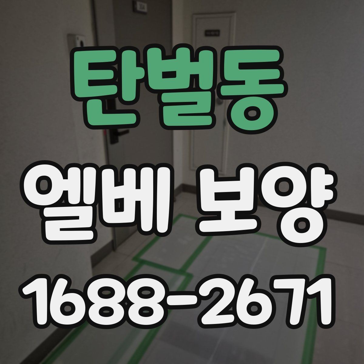 탄벌동 엘베 보양 보행 동선이 복잡한 현장 점검 포인트