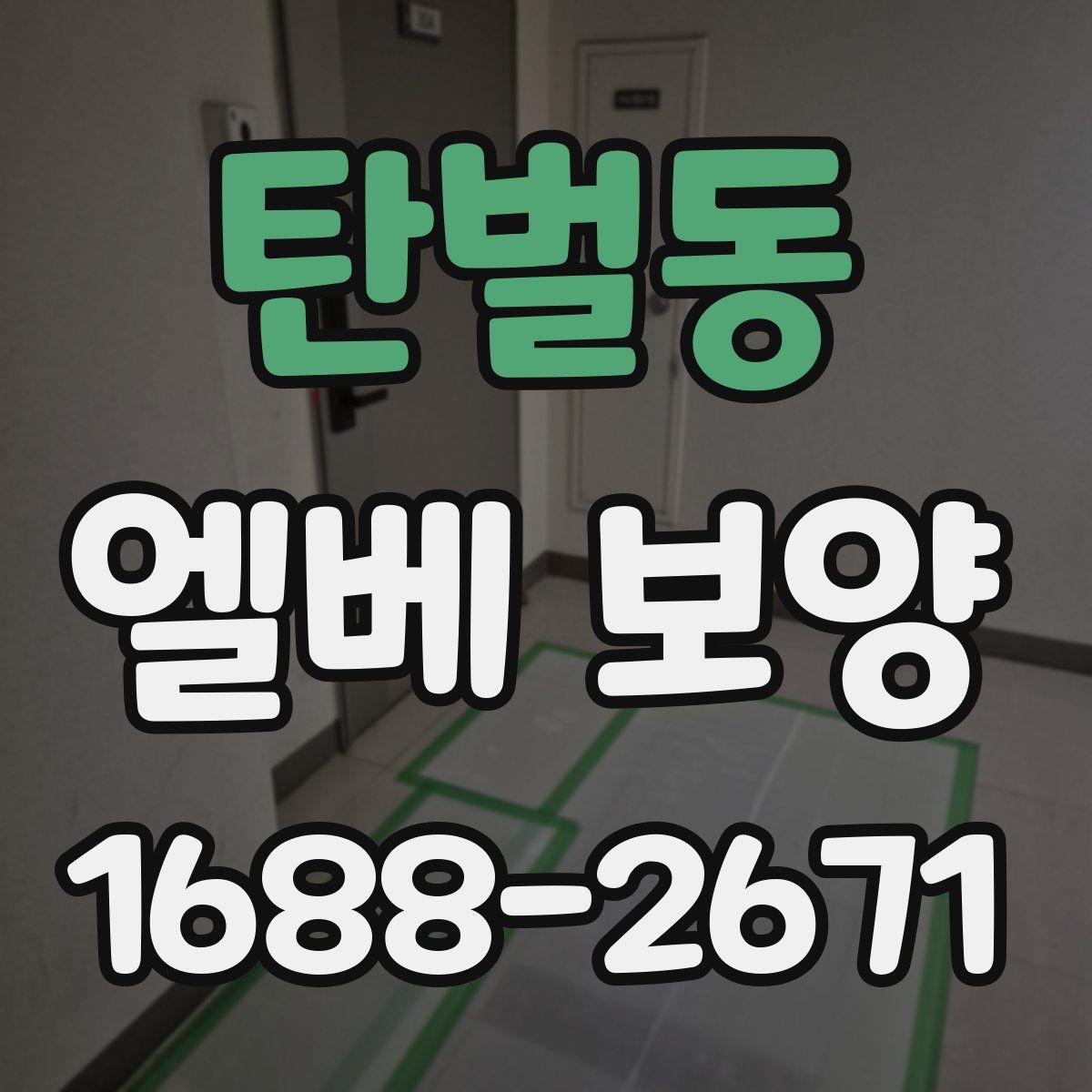 탄벌동 엘베 보양