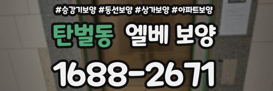 탄벌동 엘베 보양