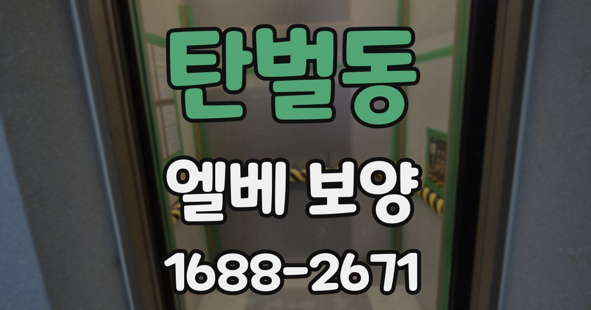 탄벌동 엘베 보양