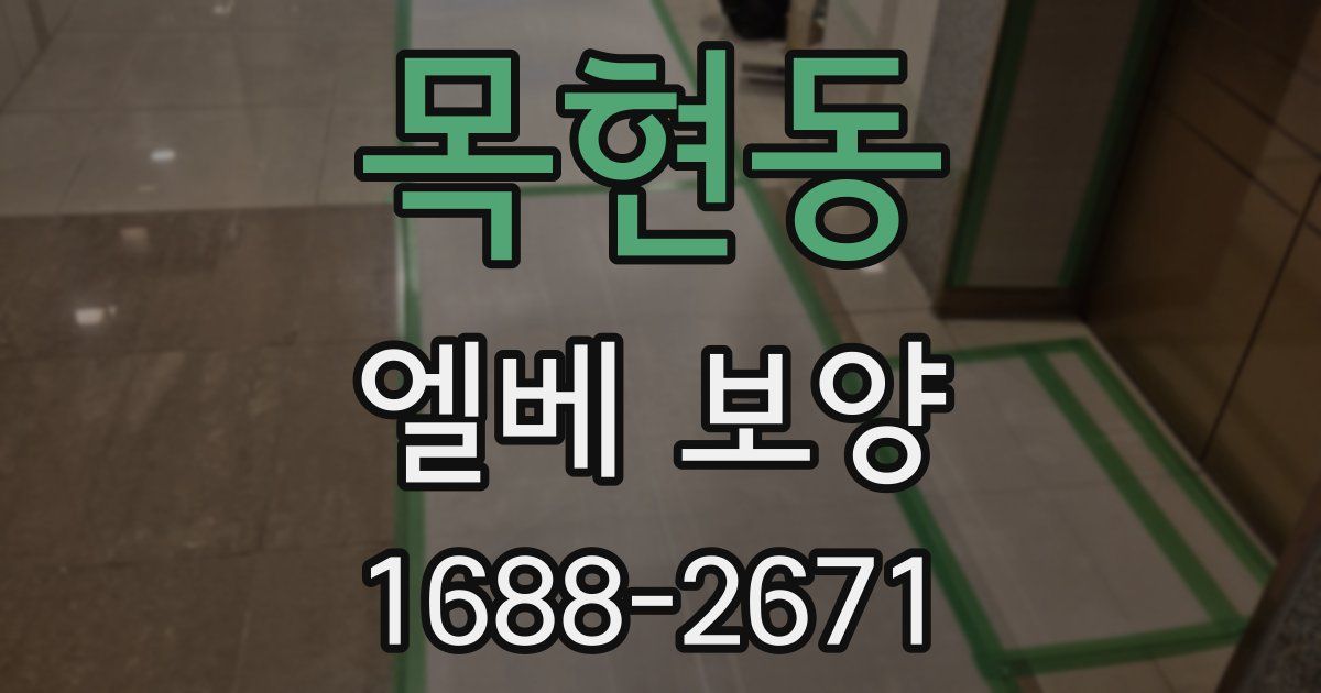 목현동 엘베 보양
