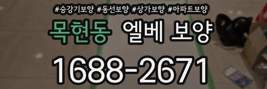 목현동 엘베 보양