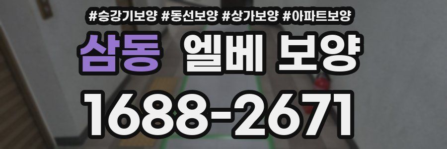 삼동 엘베 보양