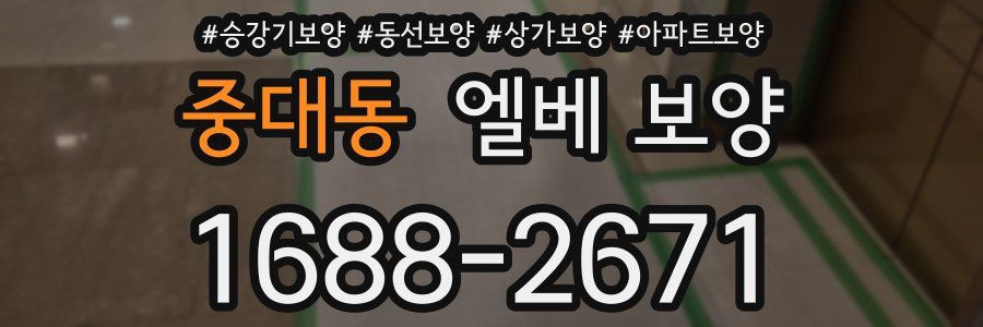 중대동 엘베 보양