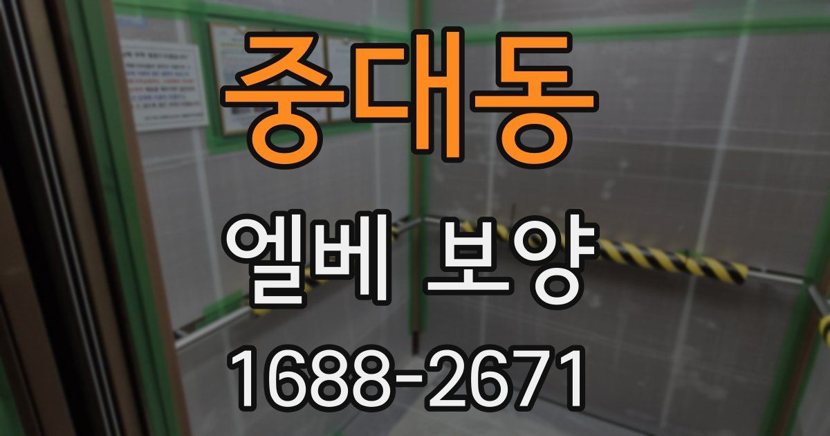 중대동 엘베 보양