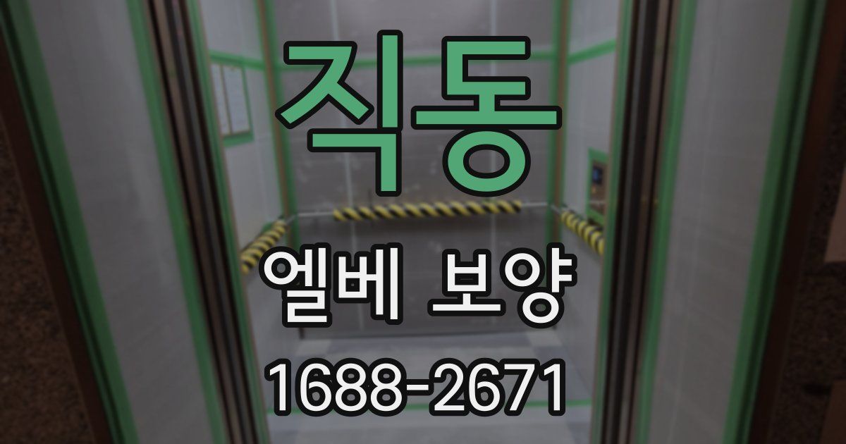 직동 엘베 보양