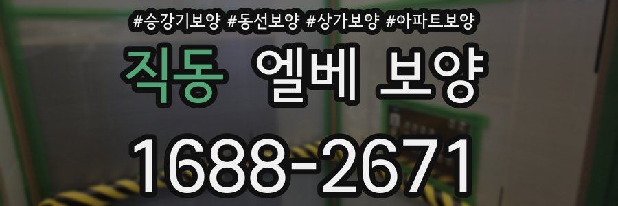 직동 엘베 보양