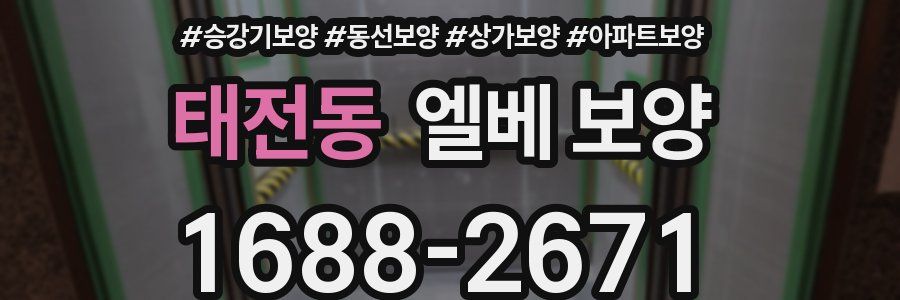 태전동 엘베 보양