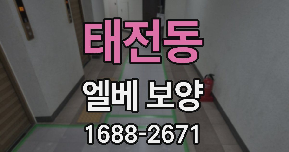 태전동 엘베 보양