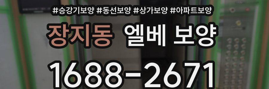 장지동 엘베 보양