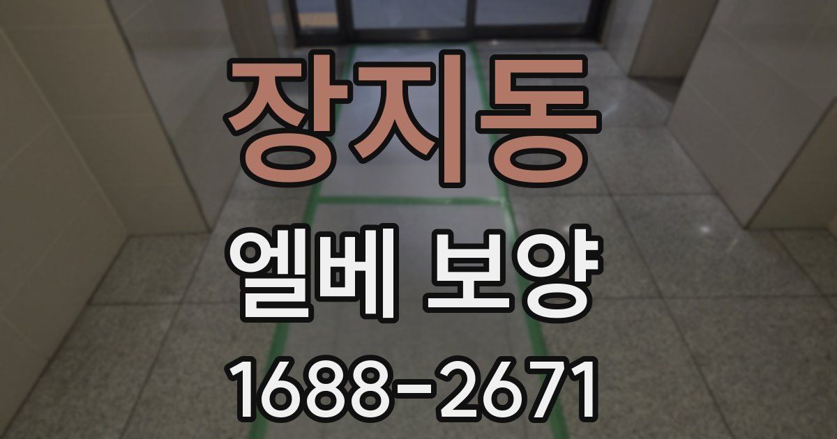 장지동 엘베 보양