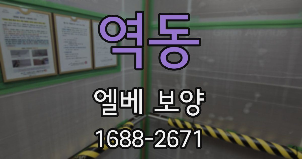 역동 엘베 보양