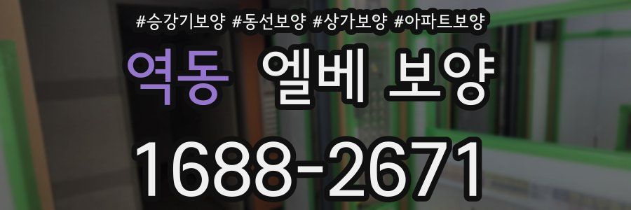 역동 엘베 보양