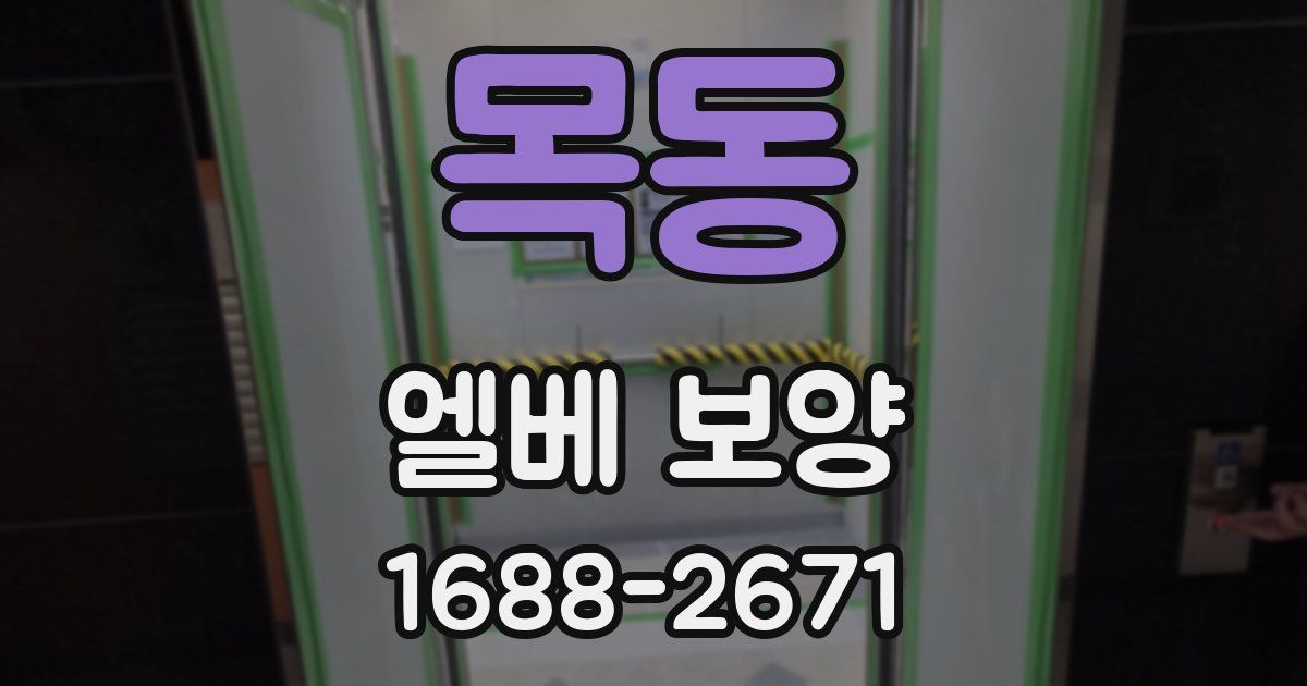 목동 엘베 보양