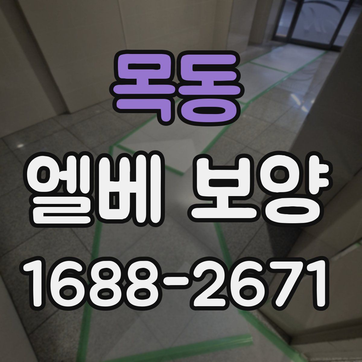 목동 엘베 보양