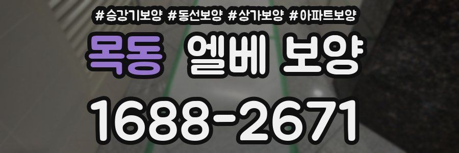 목동 엘베 보양