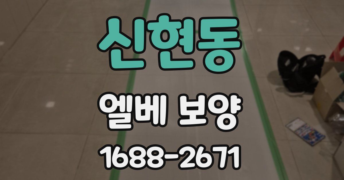 신현동 엘베 보양