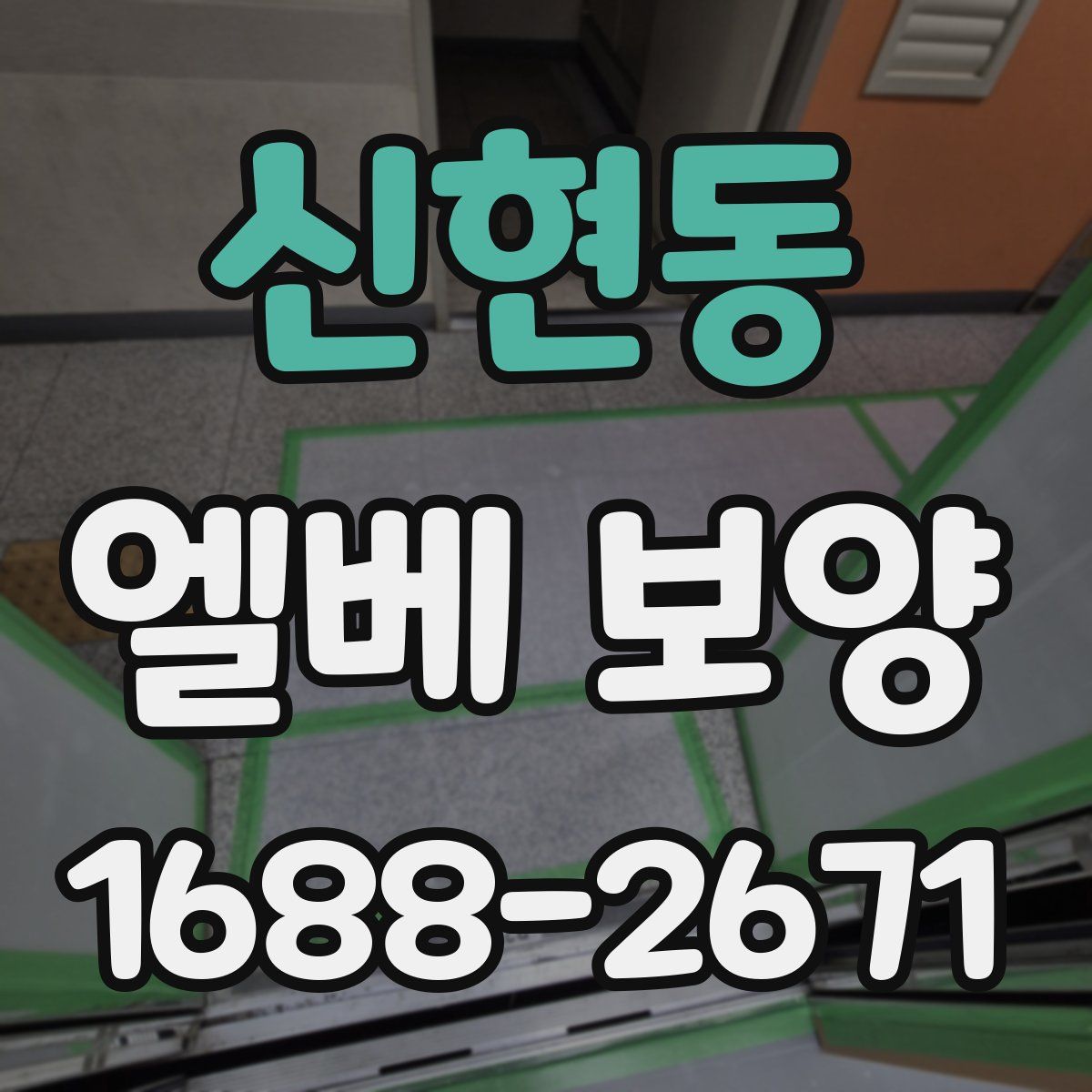 신현동 엘베 보양