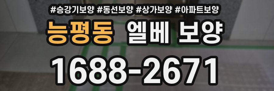 능평동 엘베 보양
