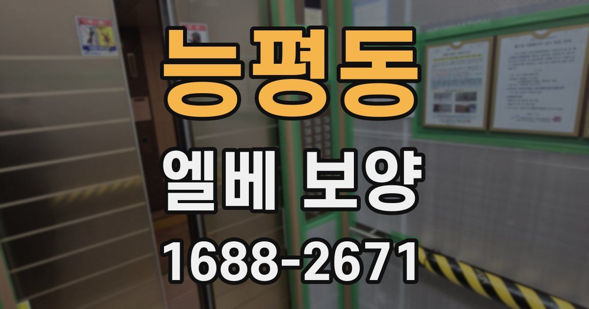 능평동 엘베 보양