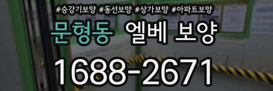 문형동 엘베 보양
