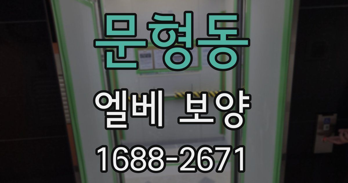 문형동 엘베 보양