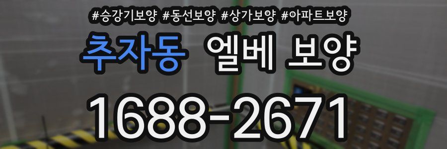 추자동 엘베 보양