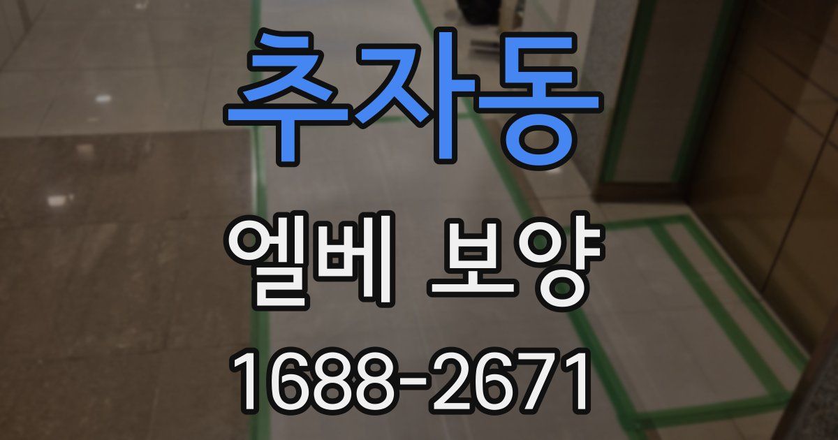 추자동 엘베 보양