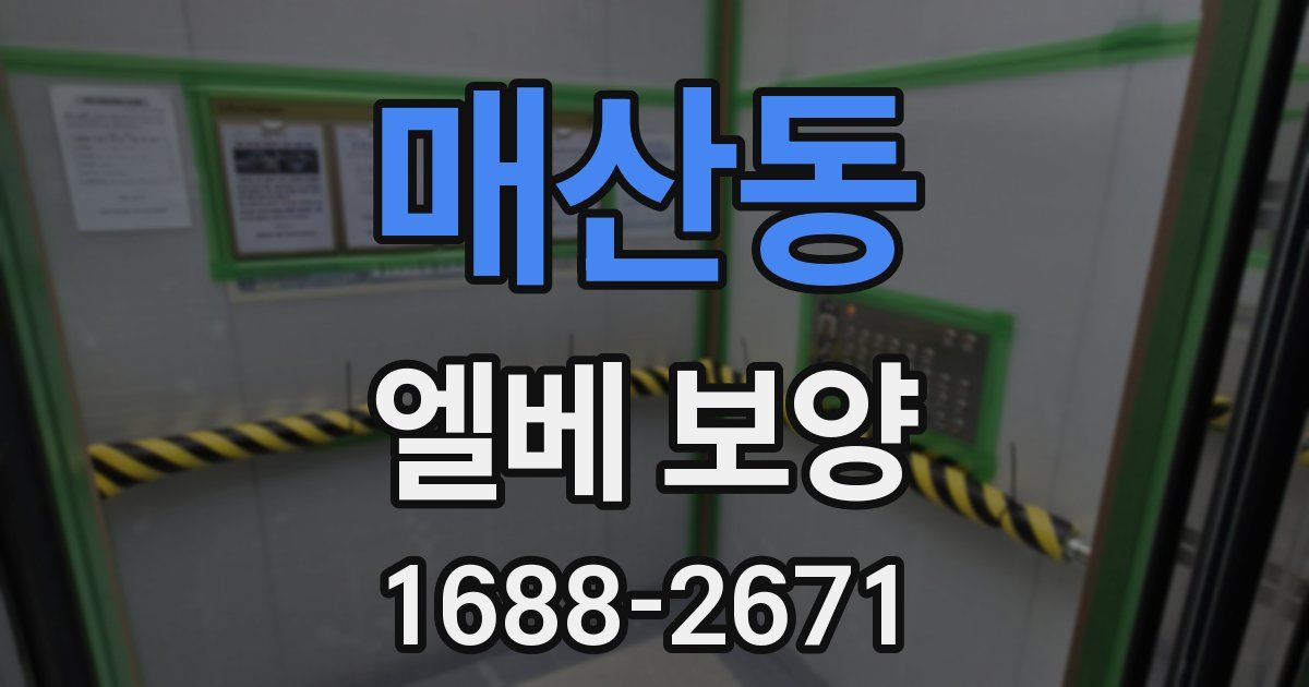 매산동 엘베 보양