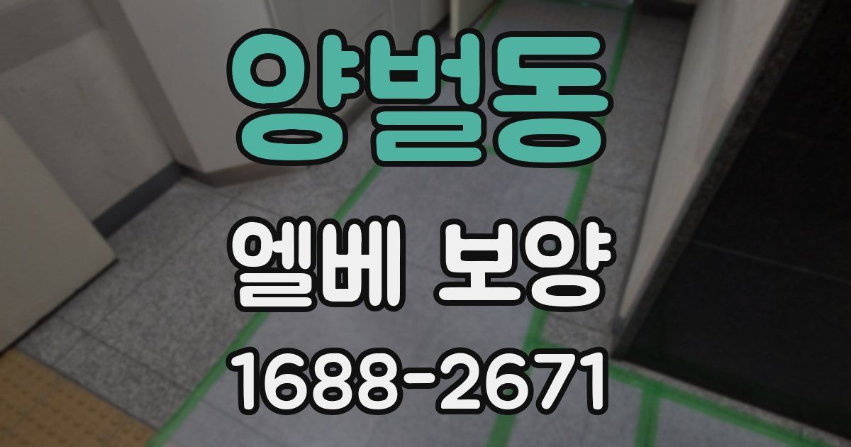양벌동 엘베 보양