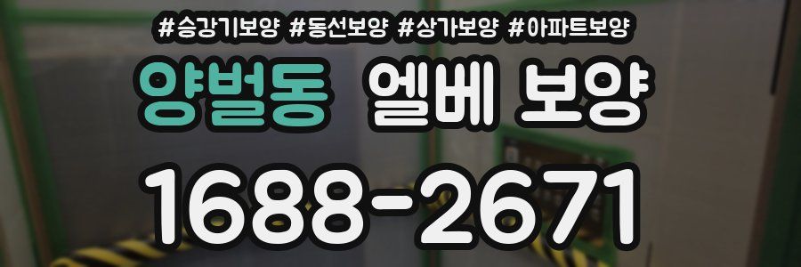 양벌동 엘베 보양