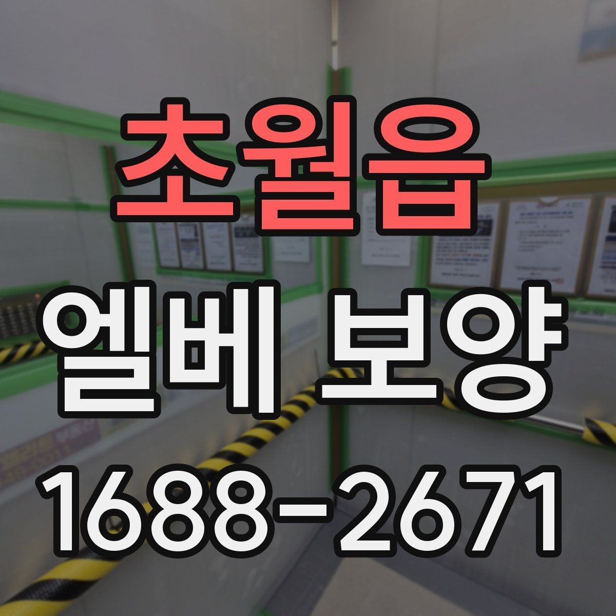 초월읍 엘베 보양 실내 인테리어 공정과 함께 볼 보호 포인트