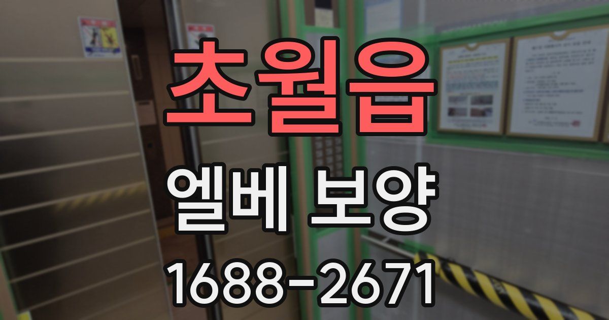초월읍 엘베 보양