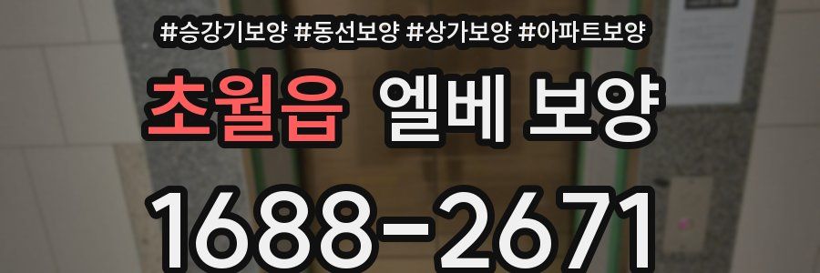 초월읍 엘베 보양