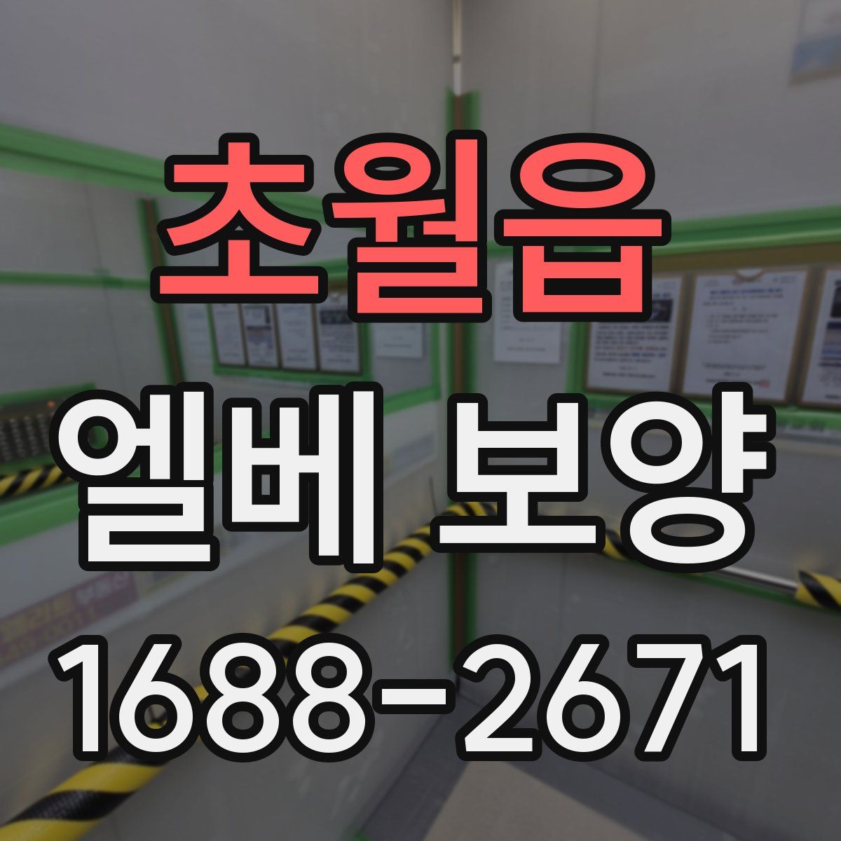 초월읍 엘베 보양