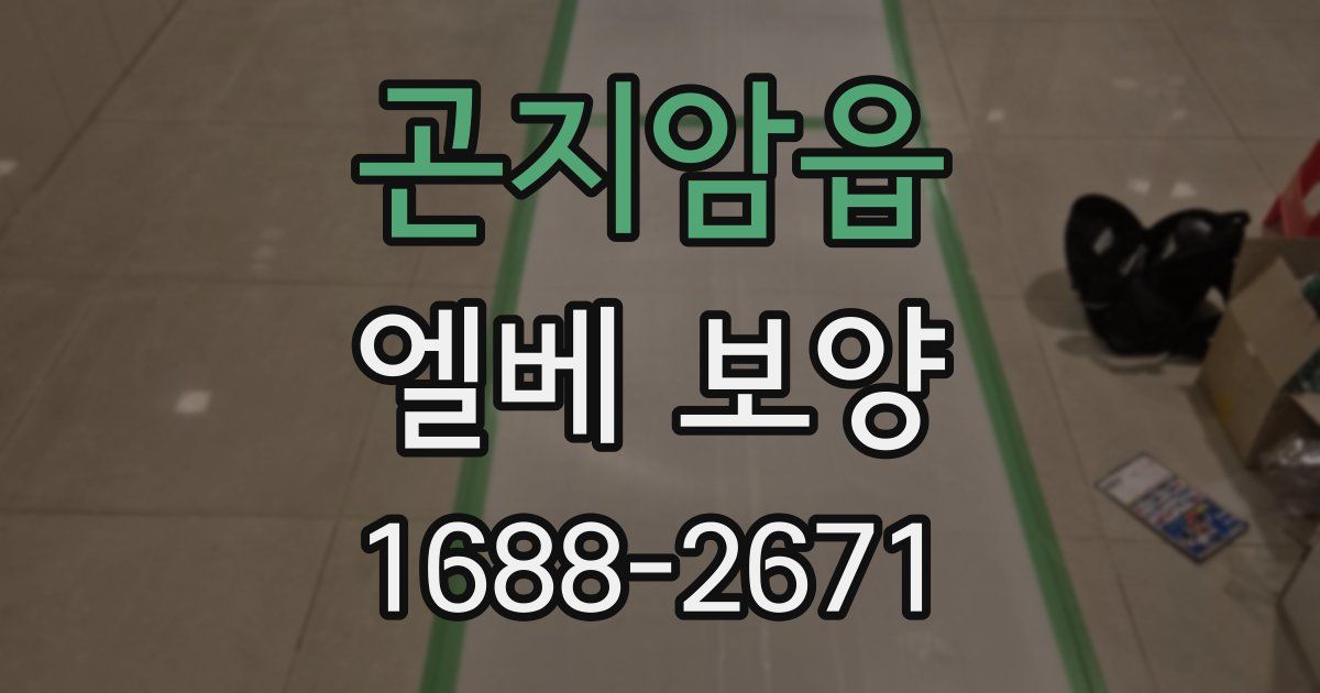 곤지암읍 엘베 보양